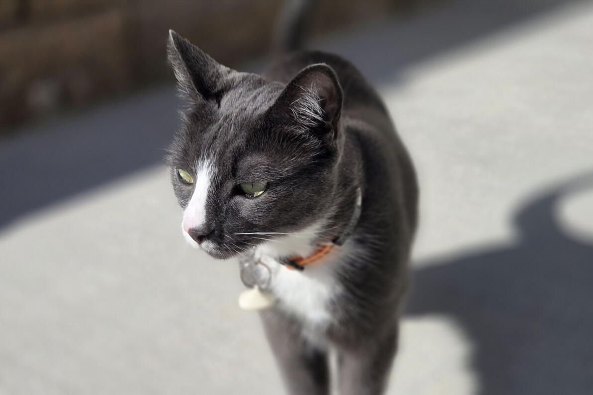 Winston outside Winston outside