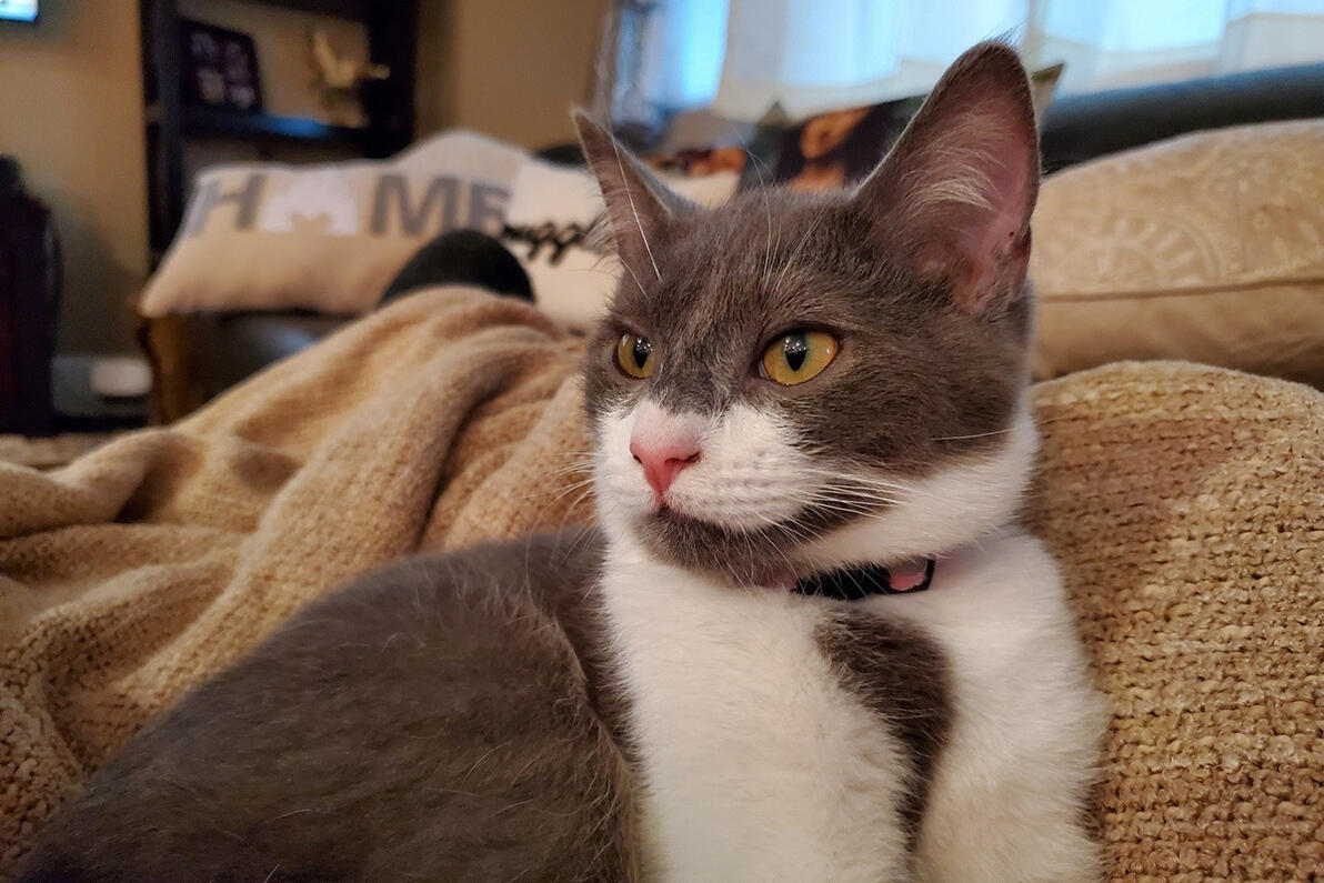 Joey lounging with Dad