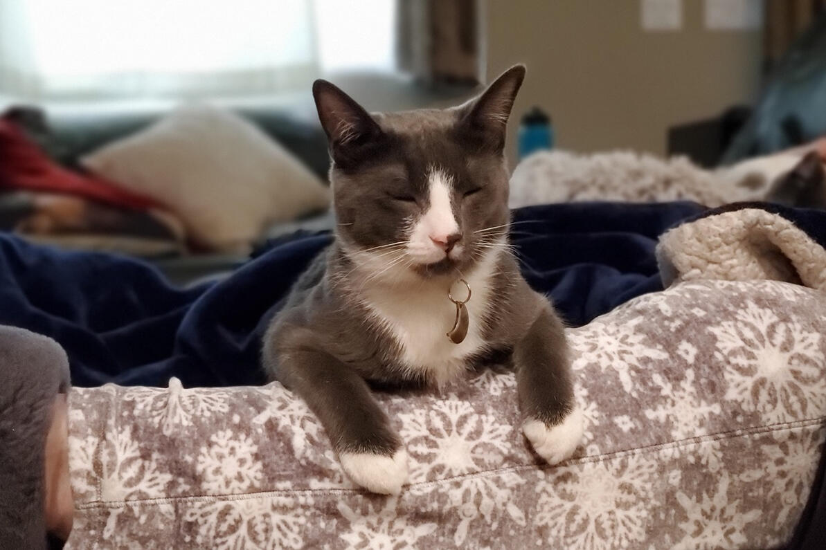 His Royal Highness, Winston
