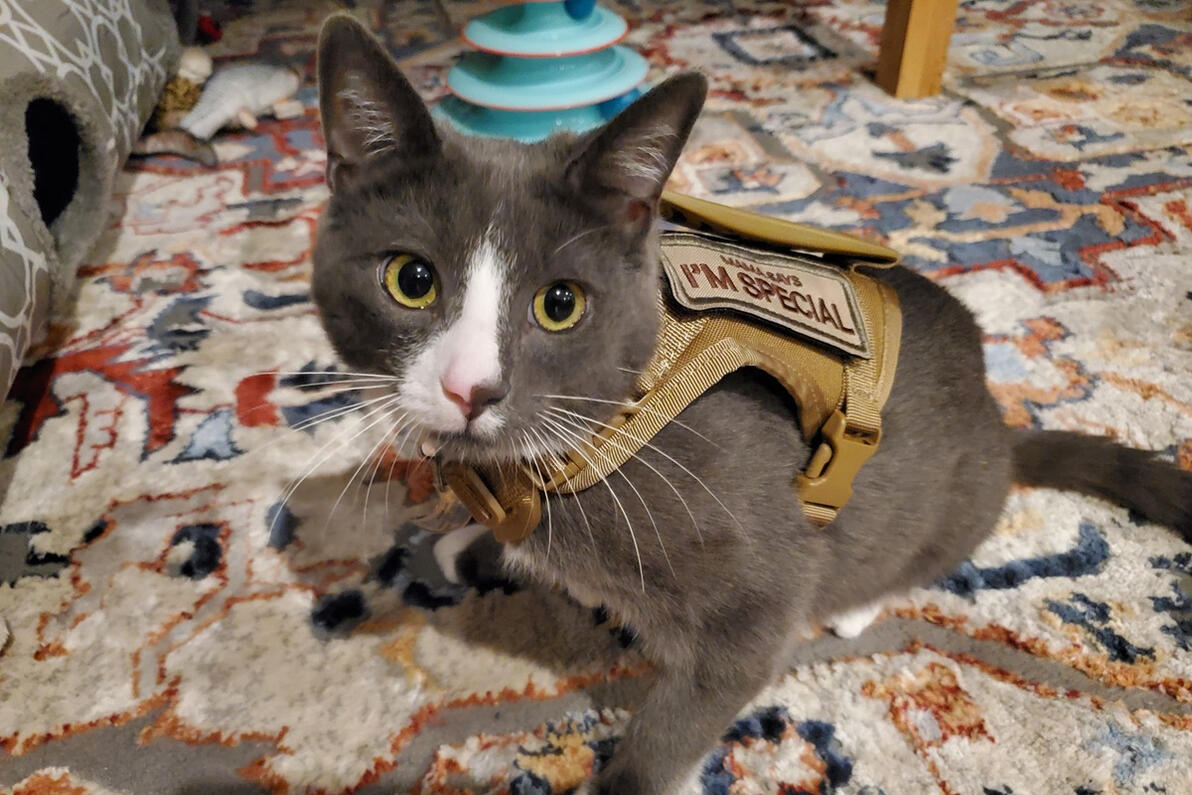 Winston in his tactical gear