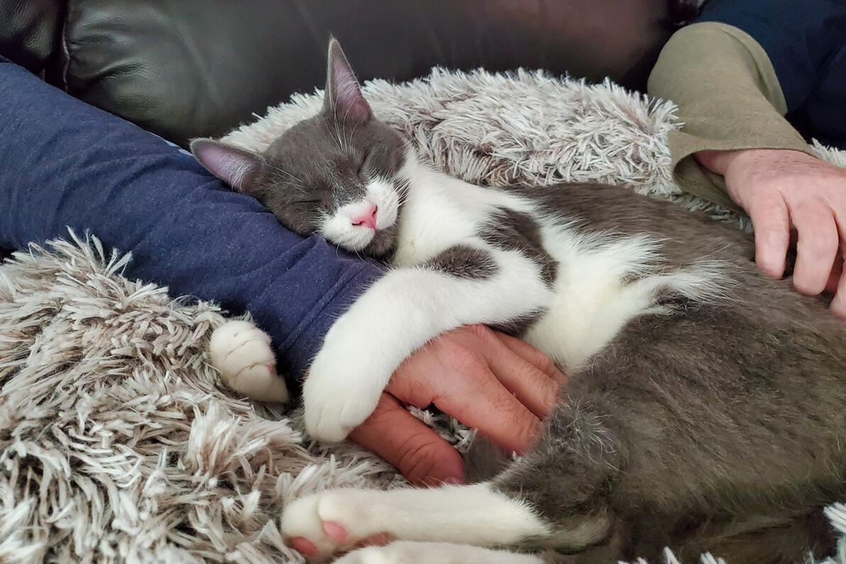 Joey snuggling