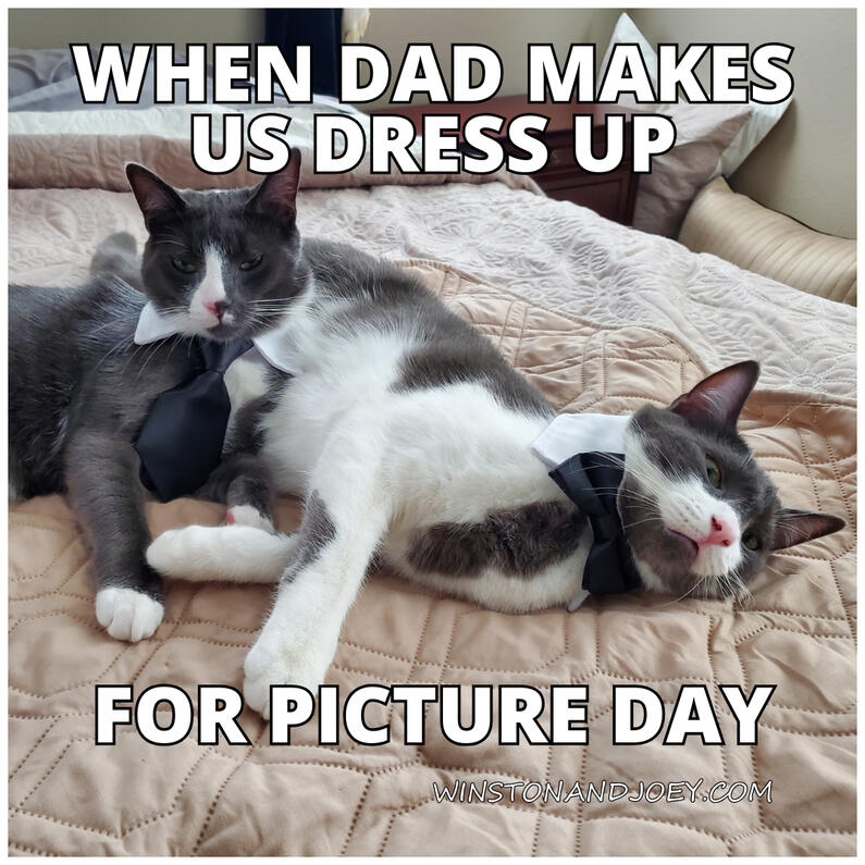 Picture Day