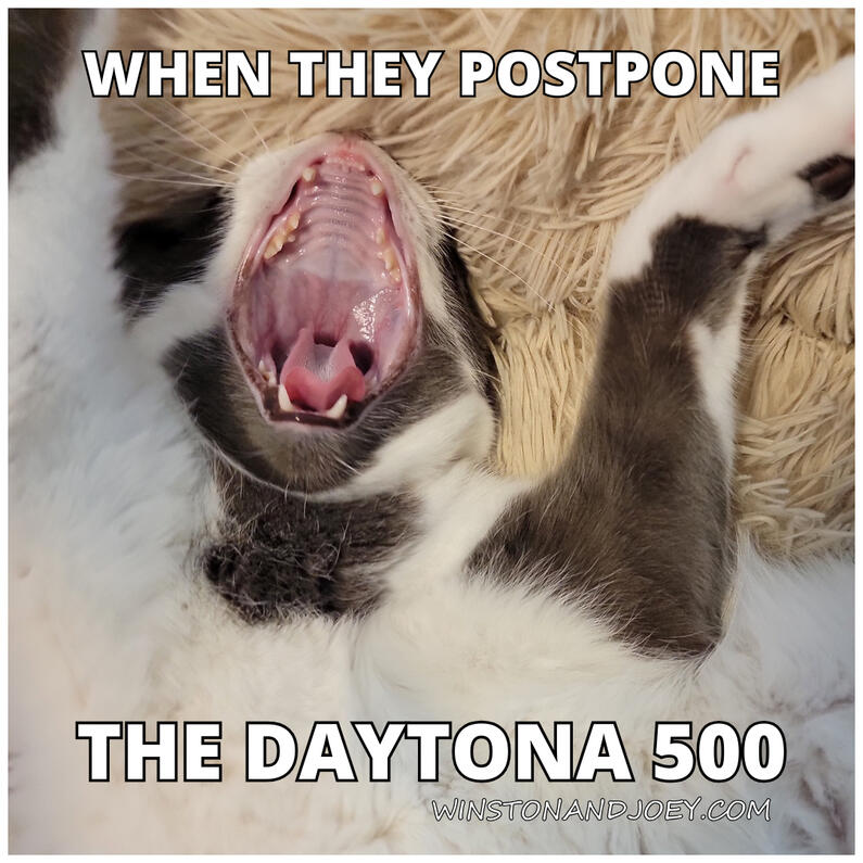 Daytona 500