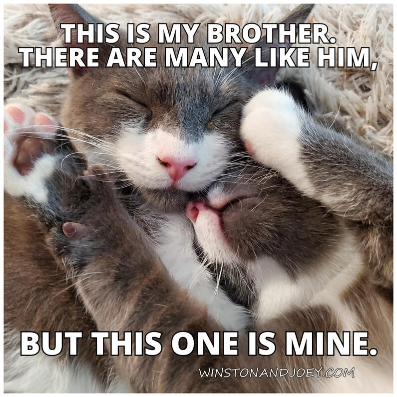 This Is My Brother