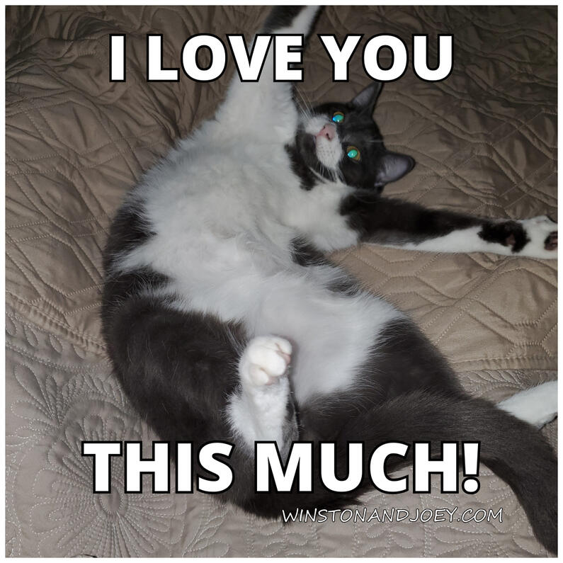 I Love You This Much