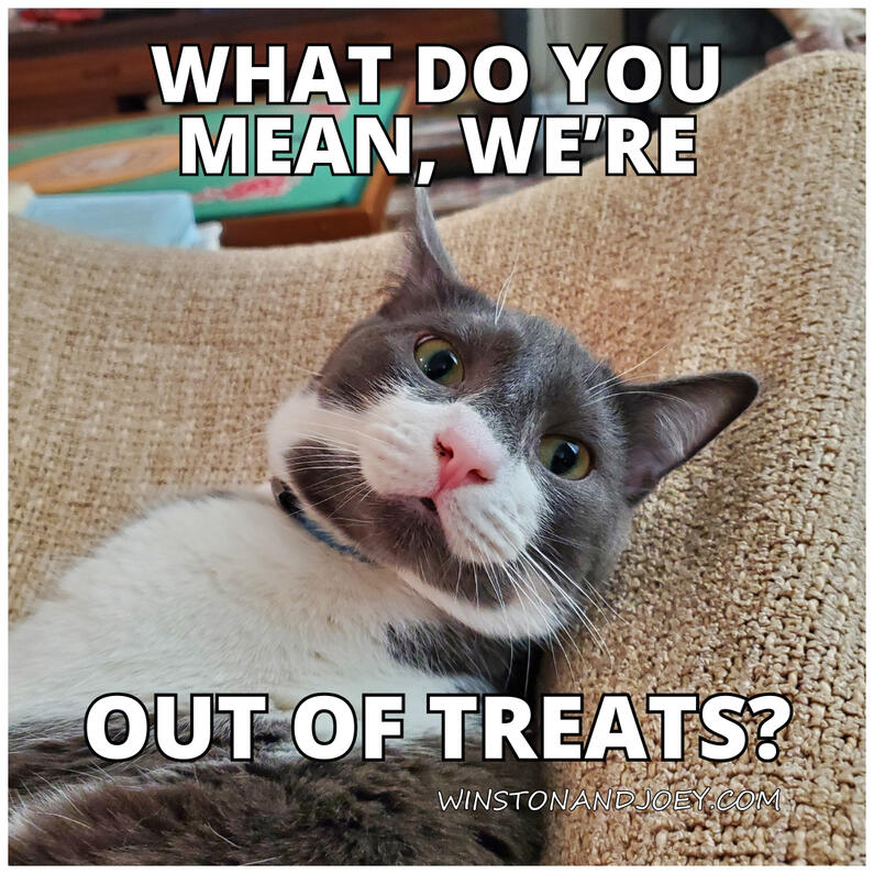 Out of Treats