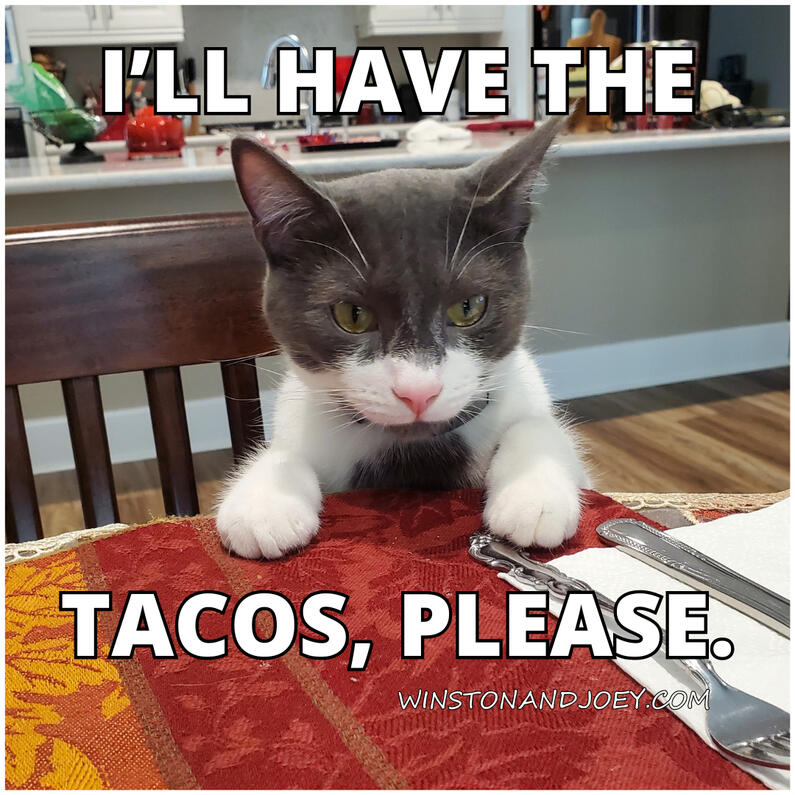 I'll Have the Tacos