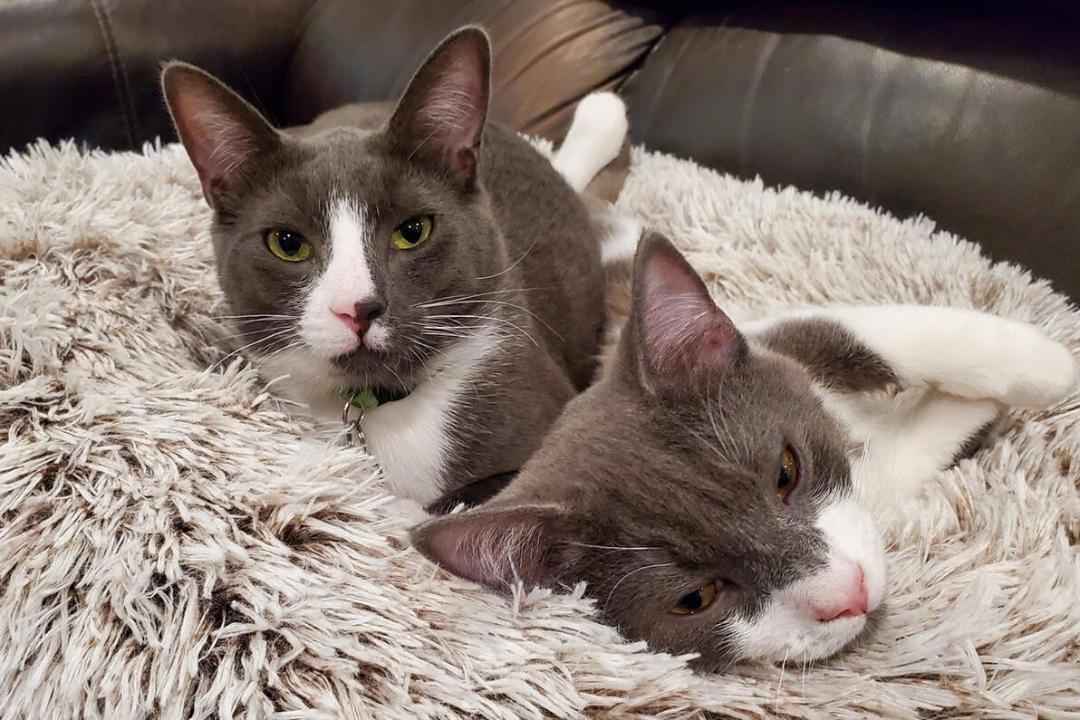 Winston and Joey getting cozy