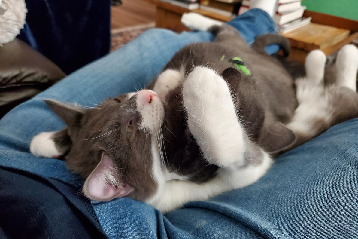Winston and Joey lounging with Dad