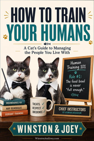 How To Train Your Humans by Winston & Joey